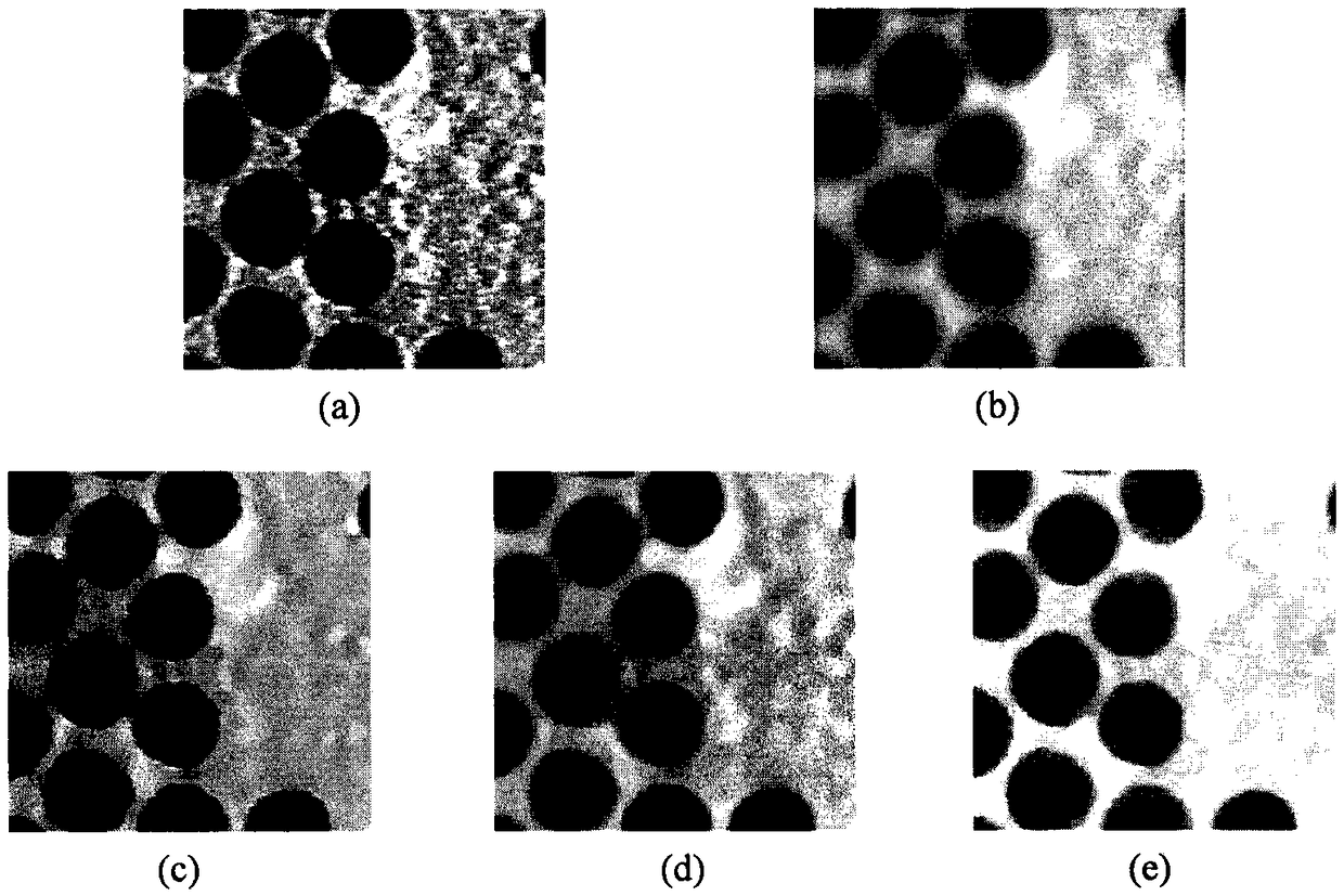 A Nanoparticle Size Measurement Method Based on Partial Differential Equation
