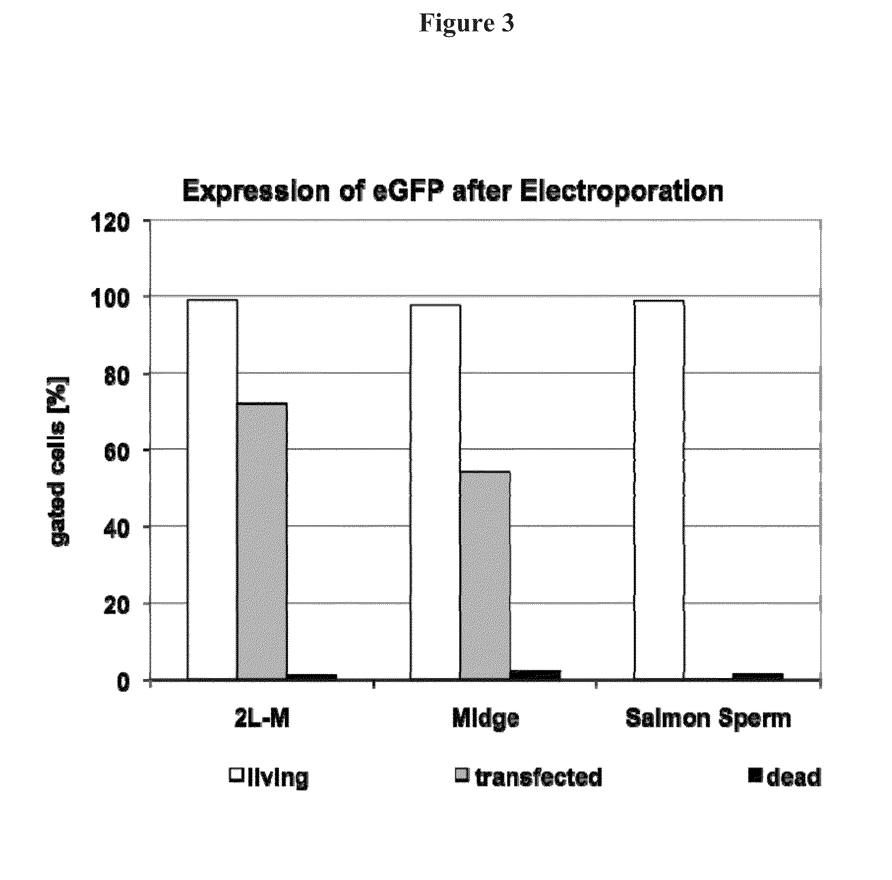 DNA Expression Construct