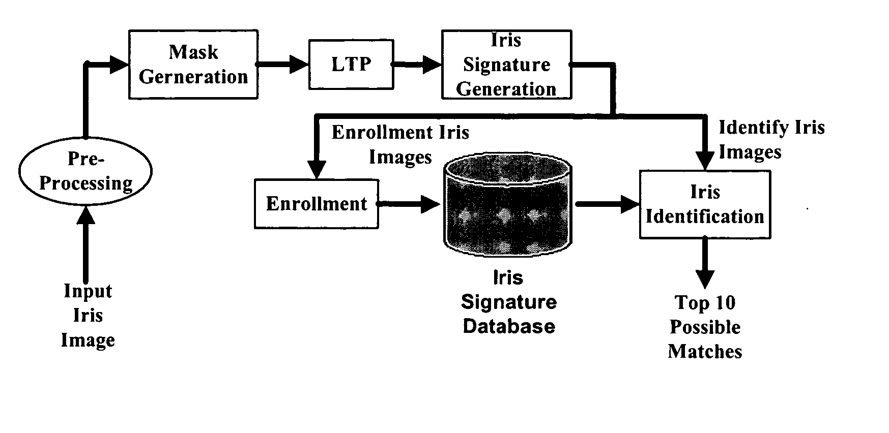 One-dimensional iris signature generation system and method
