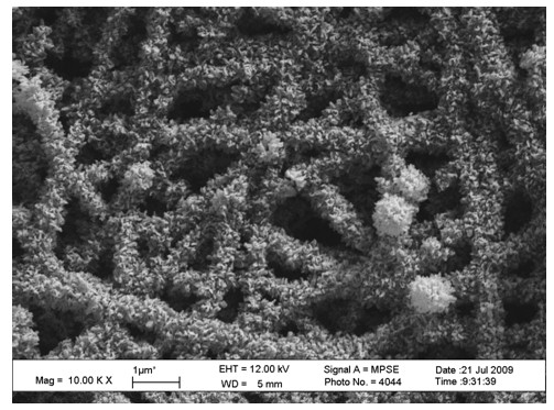 Mineralized corn protein fibrous membrane and preparation method thereof