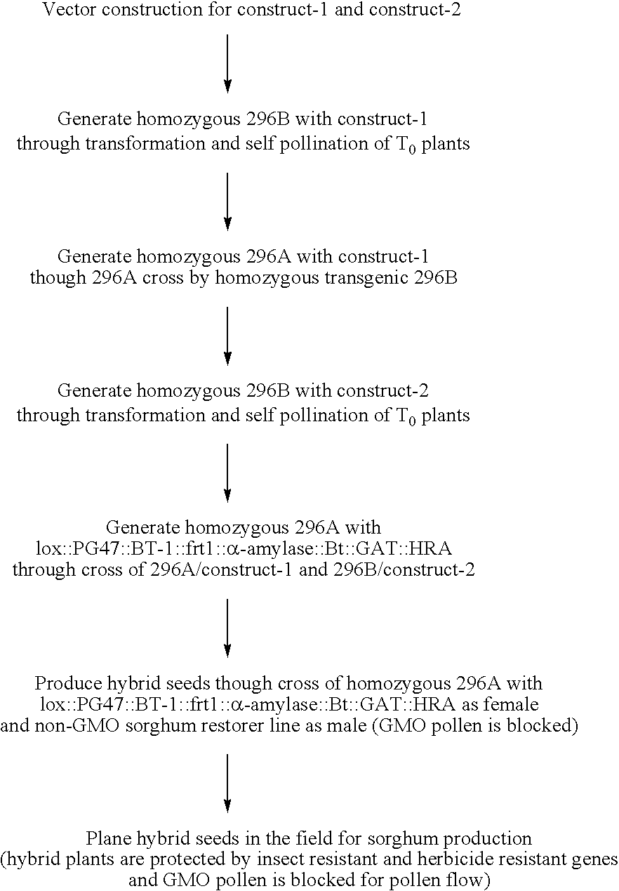 Methods and compositions for pollination disruption