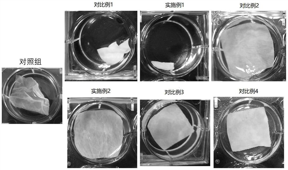 A non-glutaraldehyde prepackaged dry biological valve material and its preparation method and application