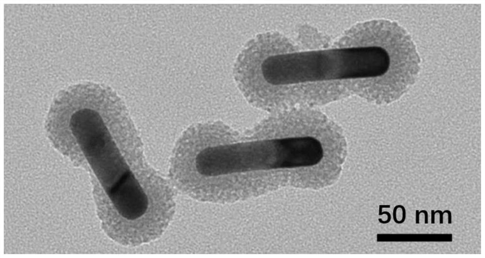 Method for coating two ends of gold nanorod with silicon dioxide
