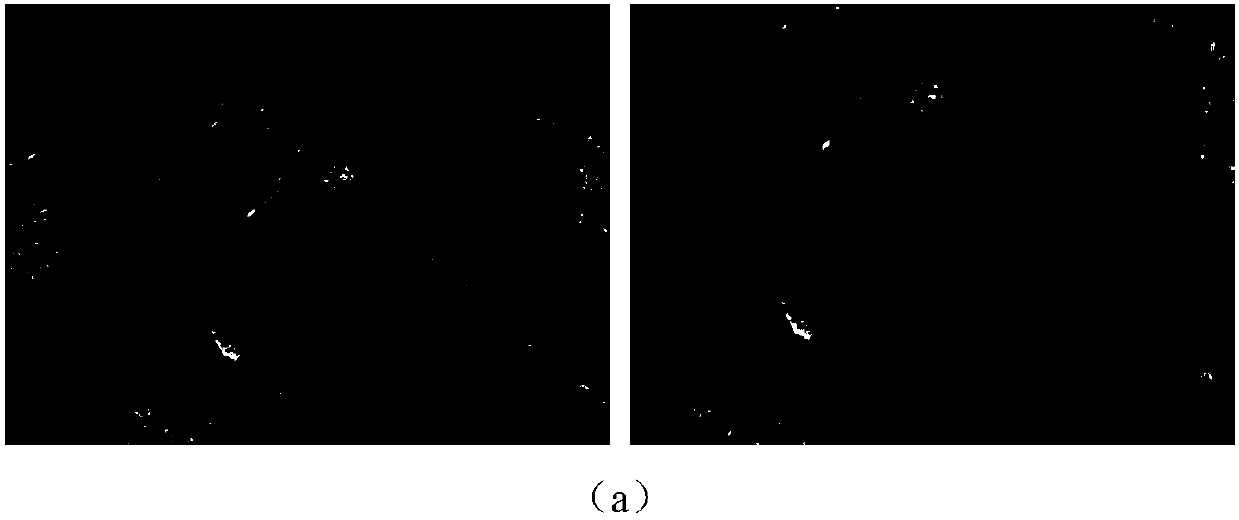 Improved optical flow field model algorithm based on characteristic vector