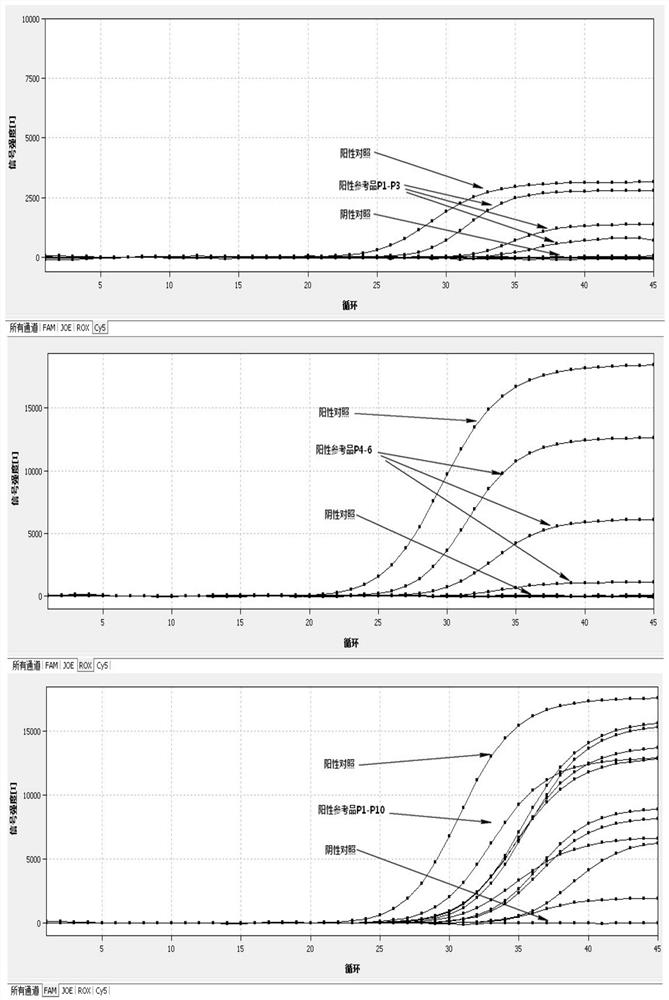 Universal nucleic acid detection reagent for enteroviruses EV71, CA16 and EV