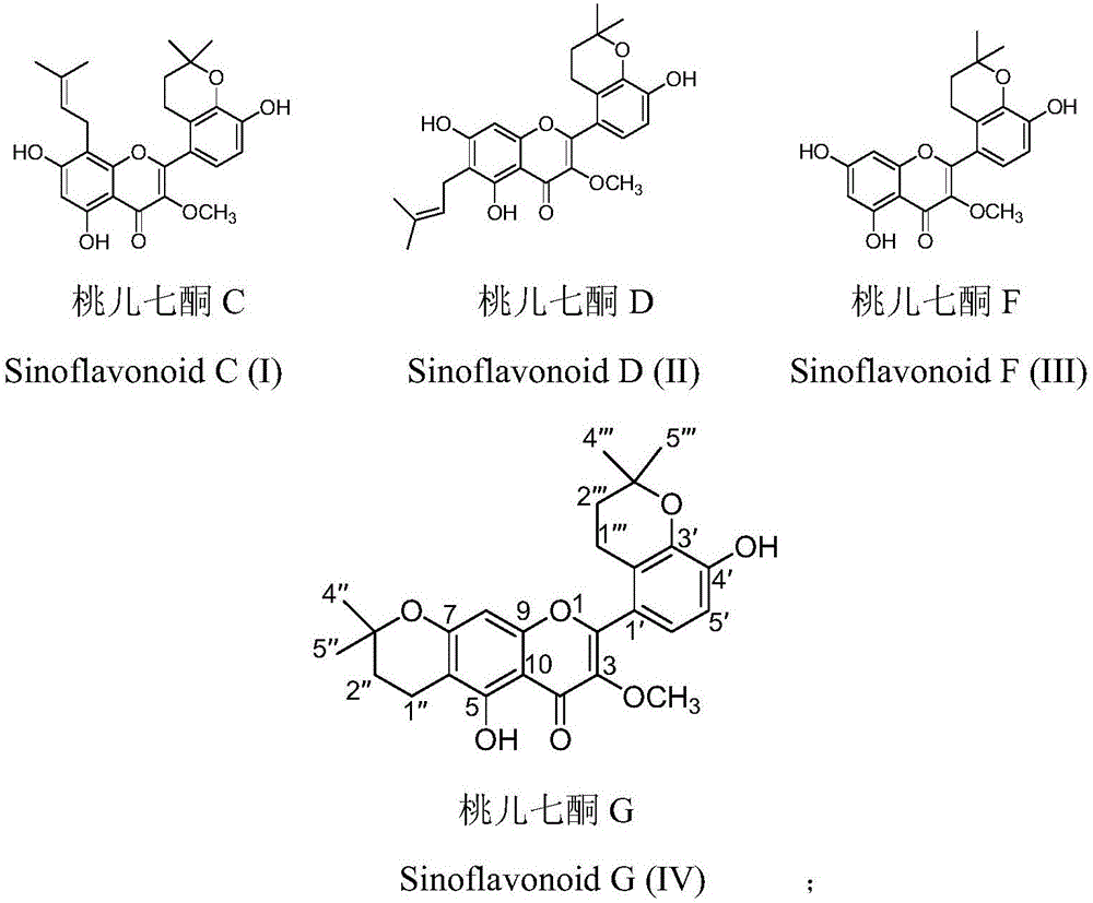 Preparation method and application of a prenylated flavonoid compound with neuroprotective effect