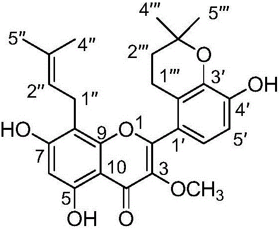 Preparation method and application of a prenylated flavonoid compound with neuroprotective effect