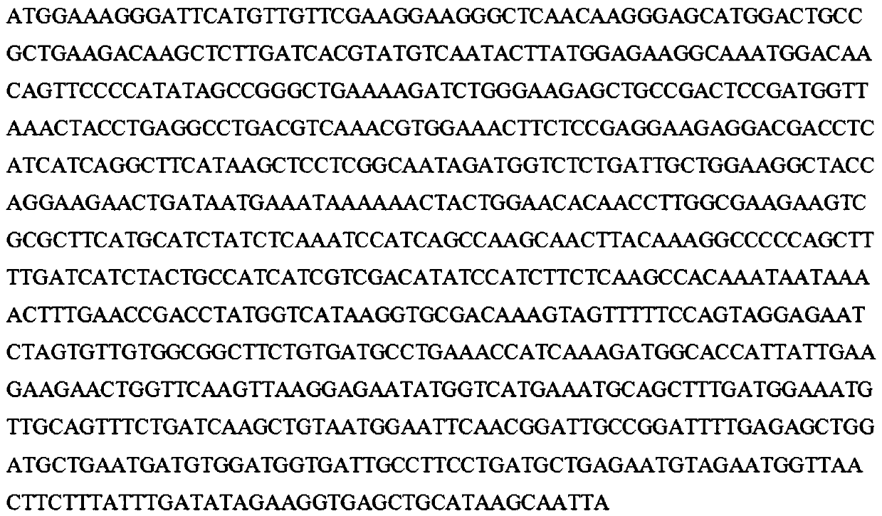 R2R3 MYB transcription factors promoting anthocyanin formation in orchids