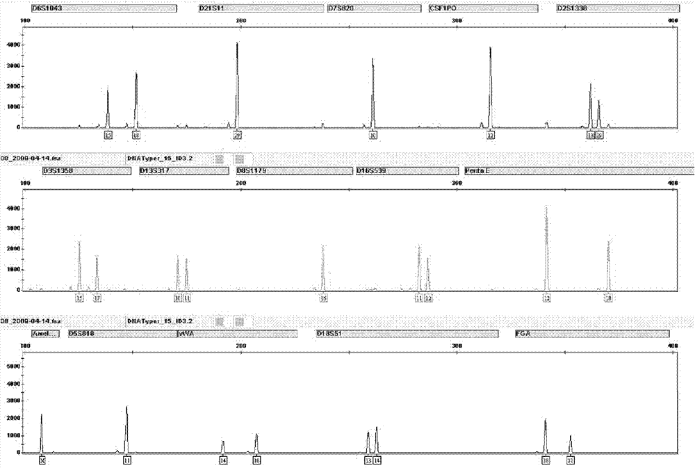 Method for extracting and purifying spittle DNA
