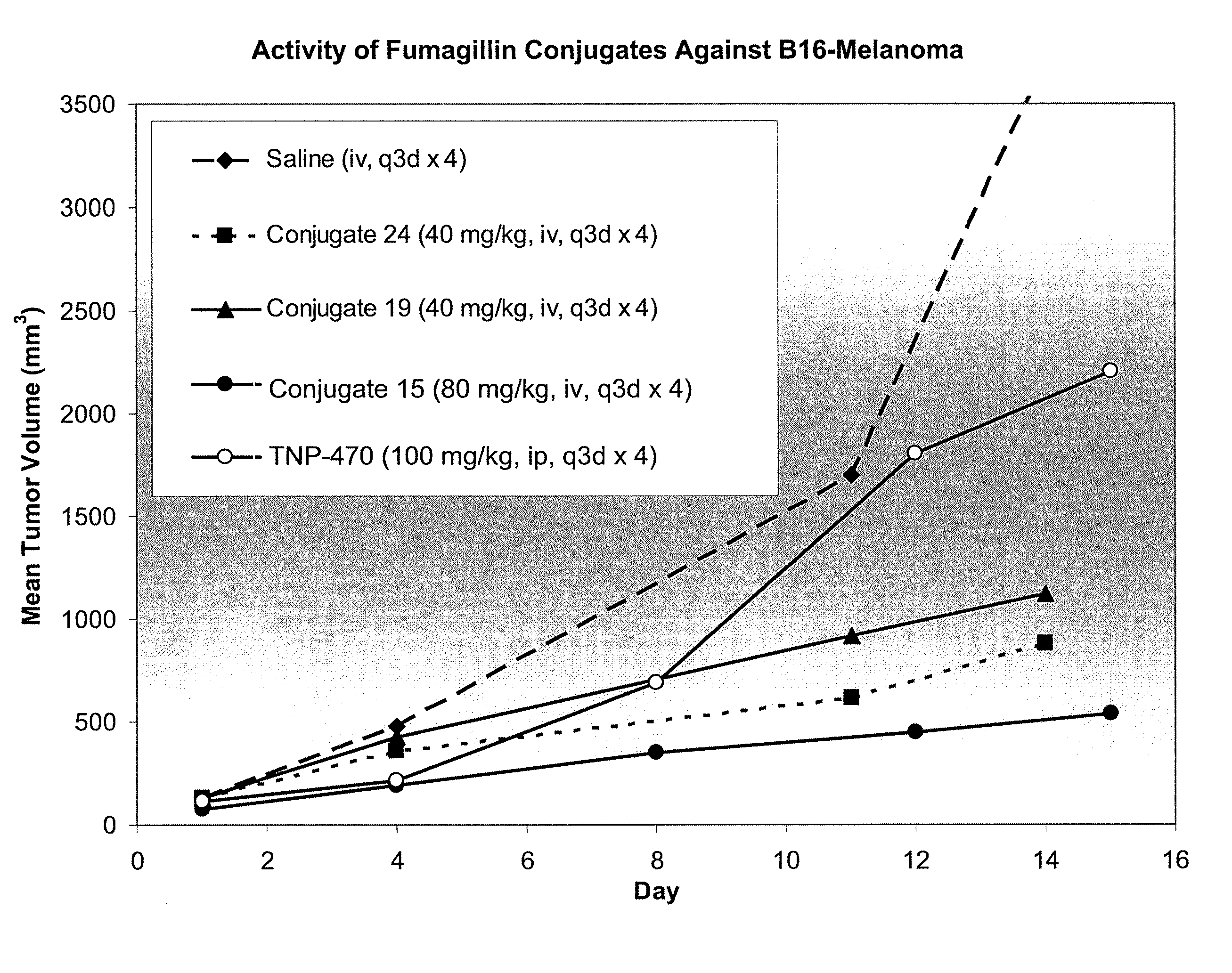 Biocompatible biodegradable fumagillin analog conjugates