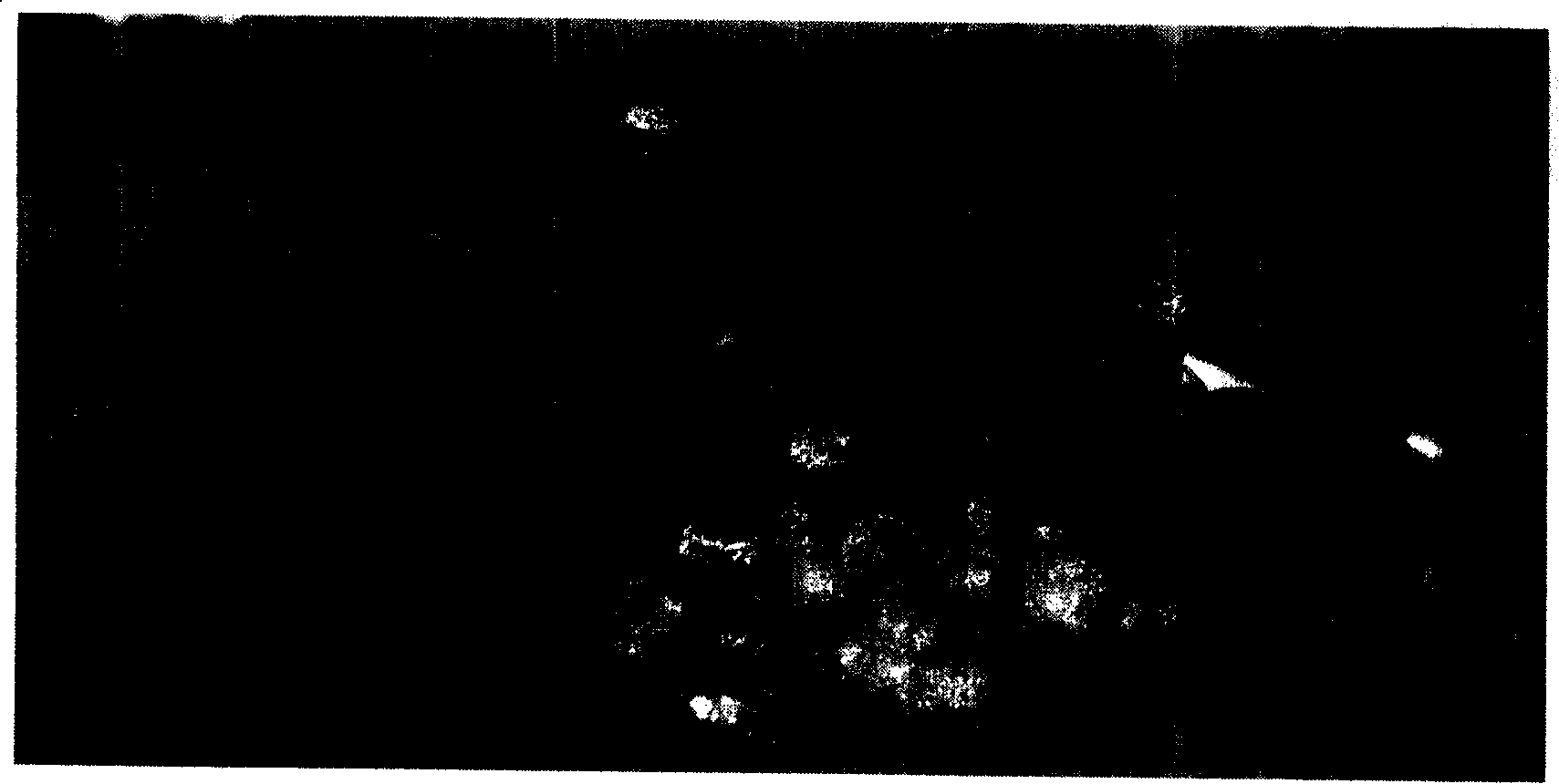 Method for preparing foamed aluminium alloy product by secondary foaming