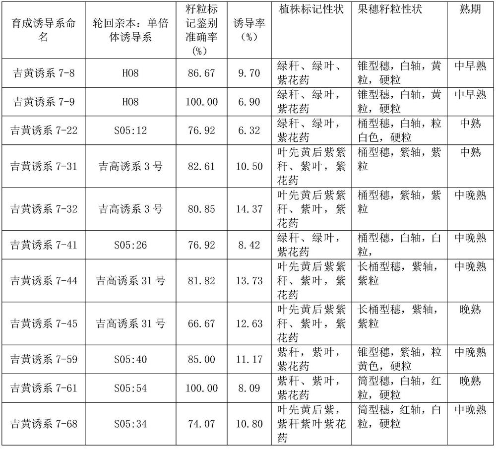 A Breeding Method for Inducing Haploid by Using Yellow-green Seedling Marker-Assisted Selection in Maize Hybridization