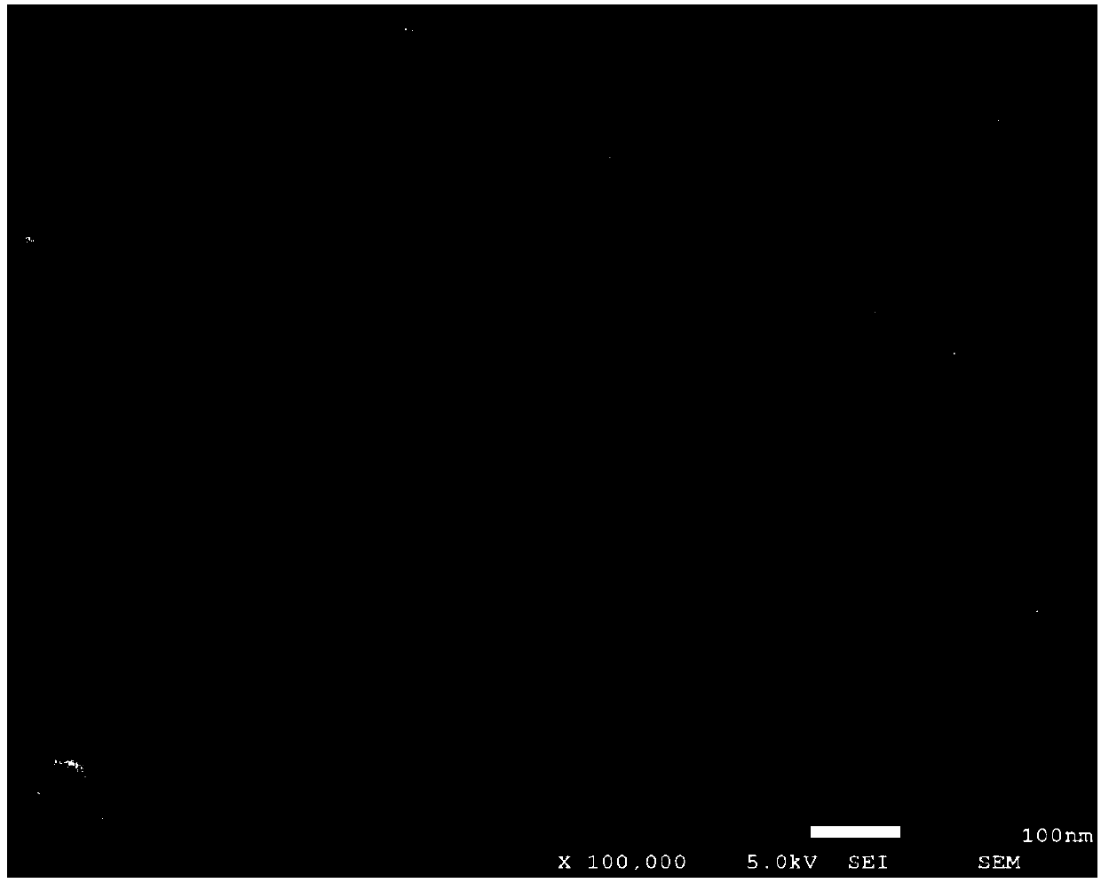 Scanning electron microscope testing method for iron phosphate sample