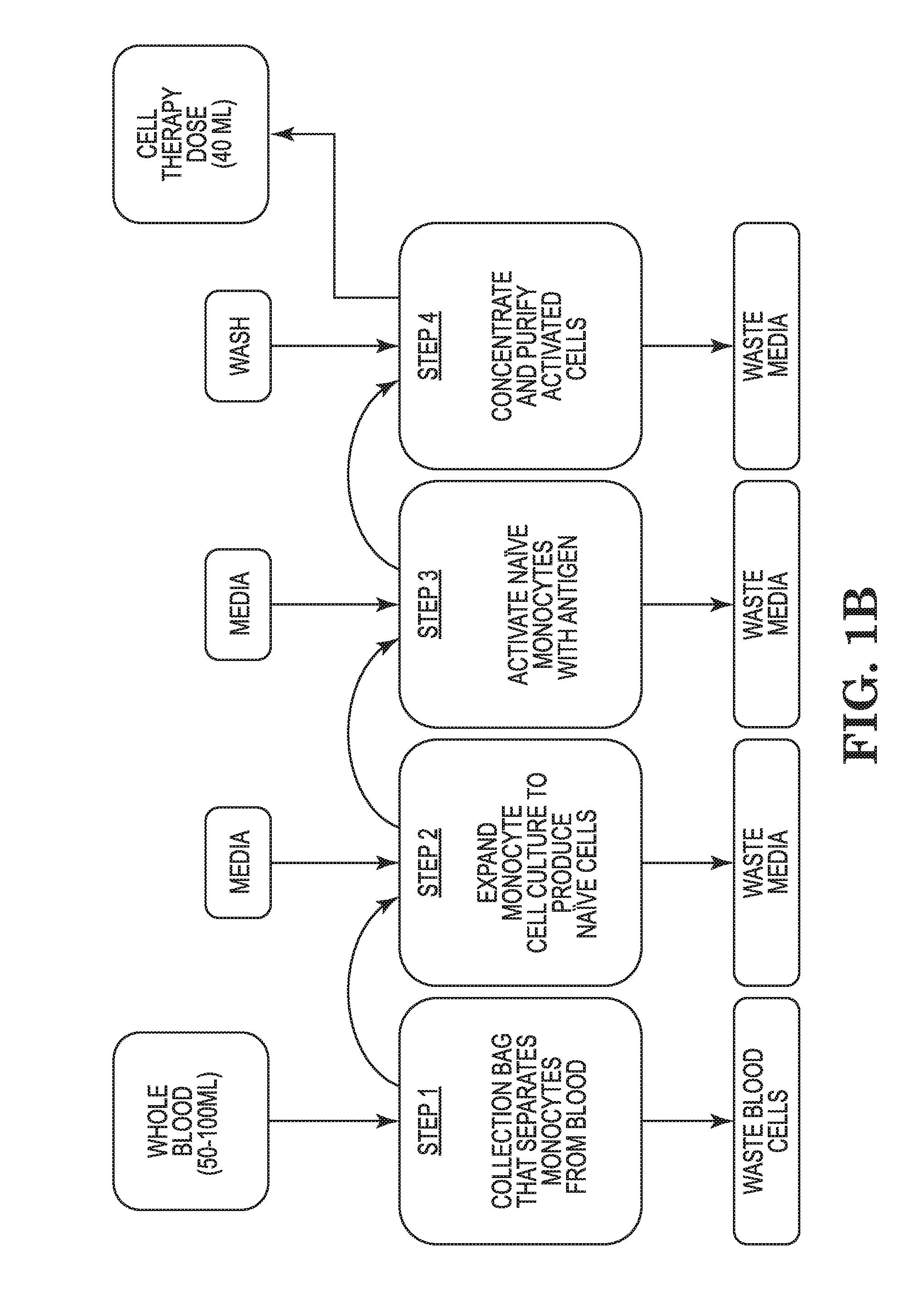 Capture system of cells and methods