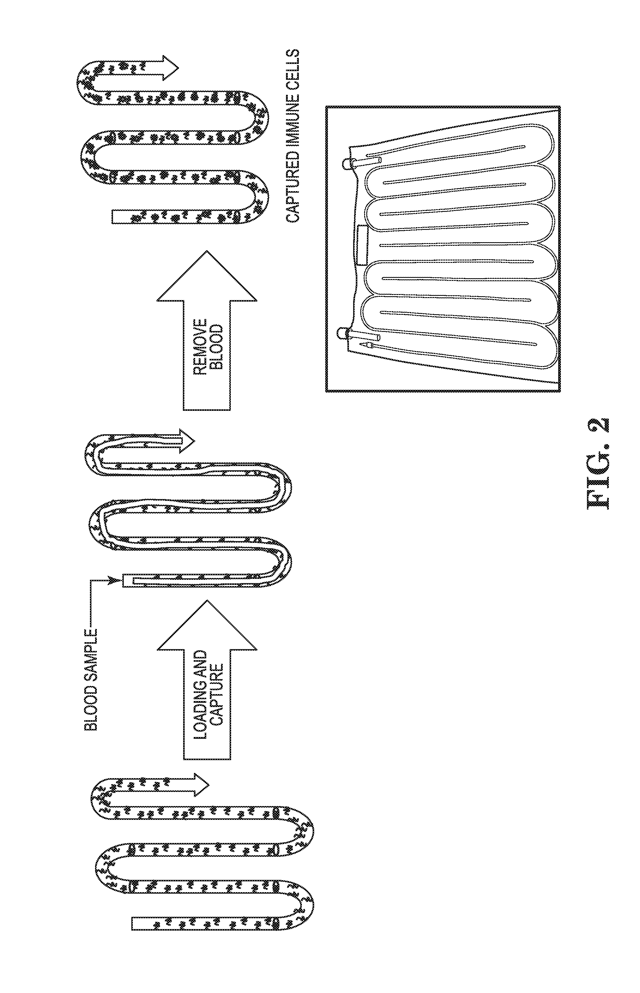 Capture system of cells and methods