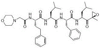 Pharmaceutical composition containing carfilzomib and preparation method thereof