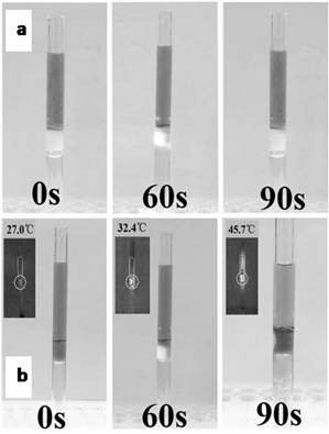 Preparation method and application of photo-thermal conversion hydrogel
