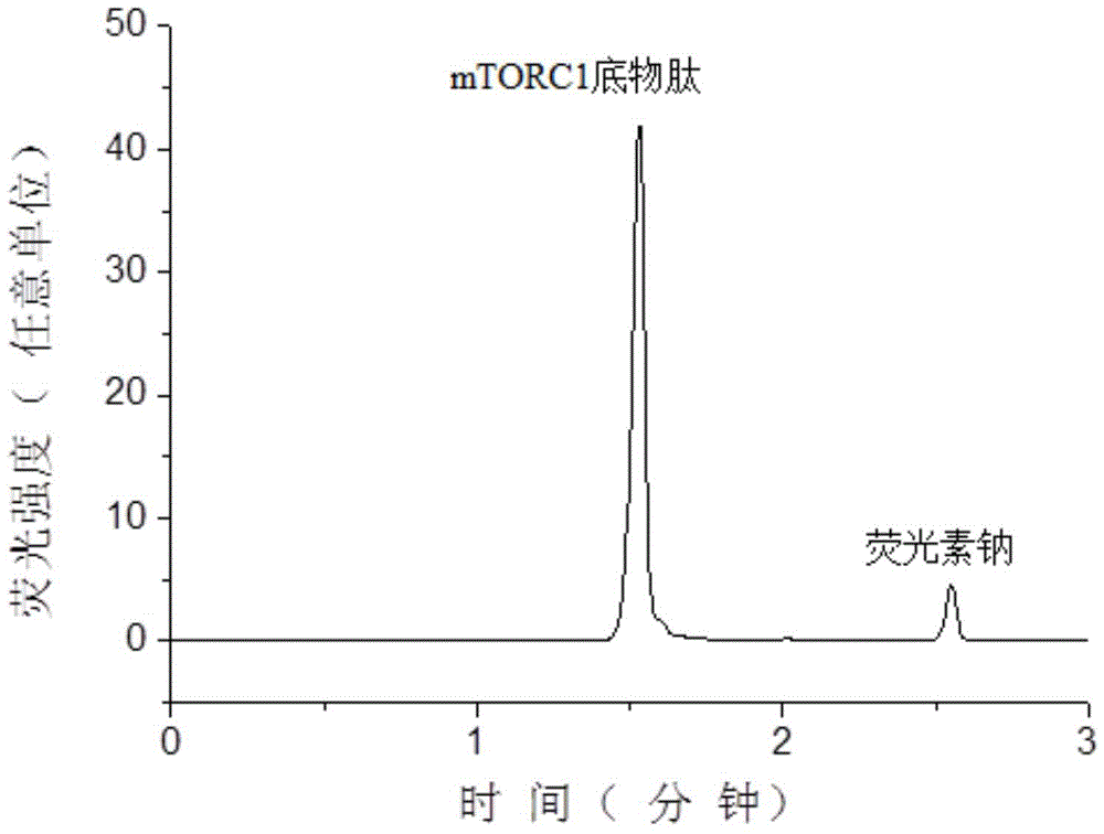 Application of polyphenolic compound