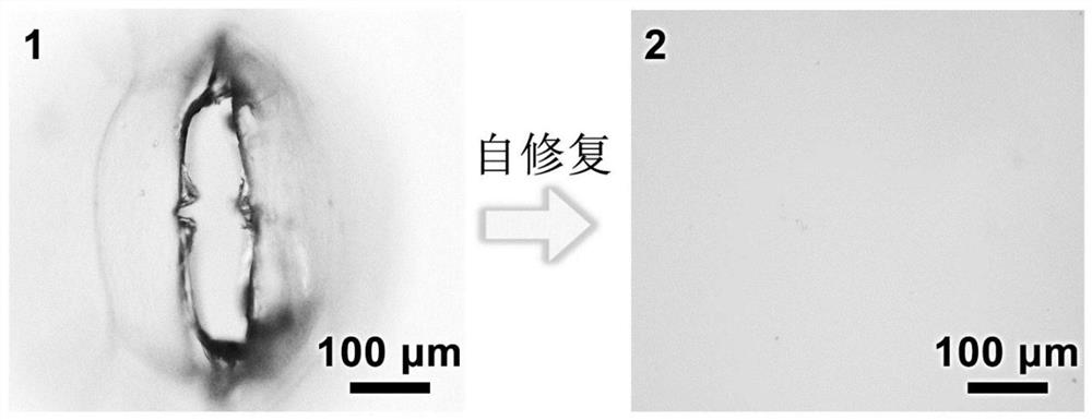 Room-temperature self-repairing ionic gel as well as preparation method and application thereof