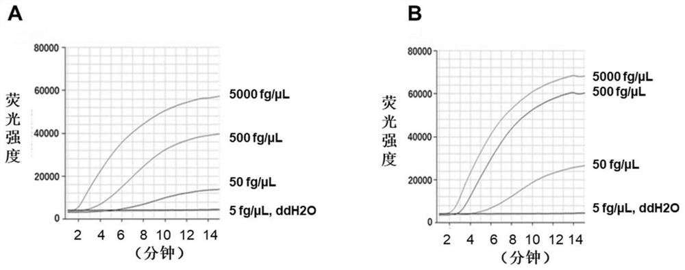 A detection kit for Yersinia pestis based on real-time fluorescent RPA technology and its application