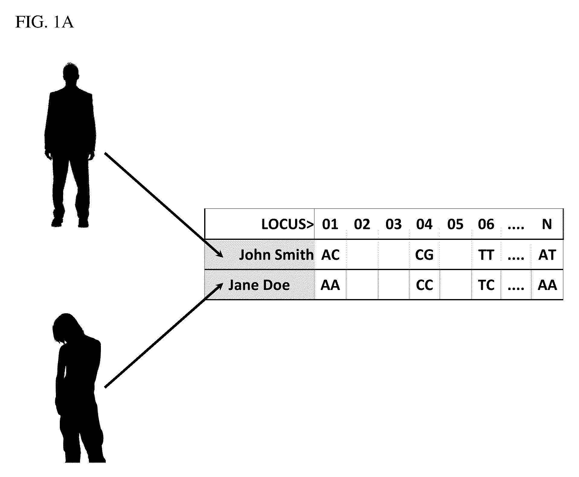 Method and system for generating a virtual progeny genome