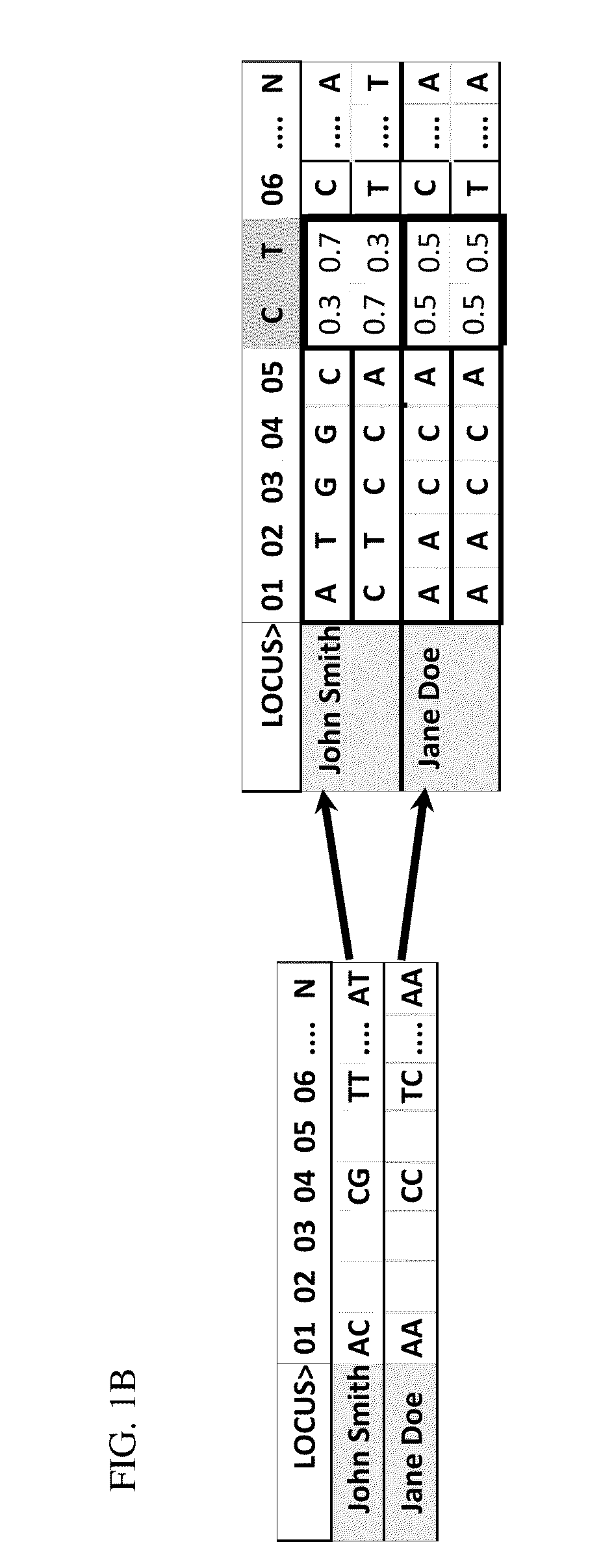 Method and system for generating a virtual progeny genome