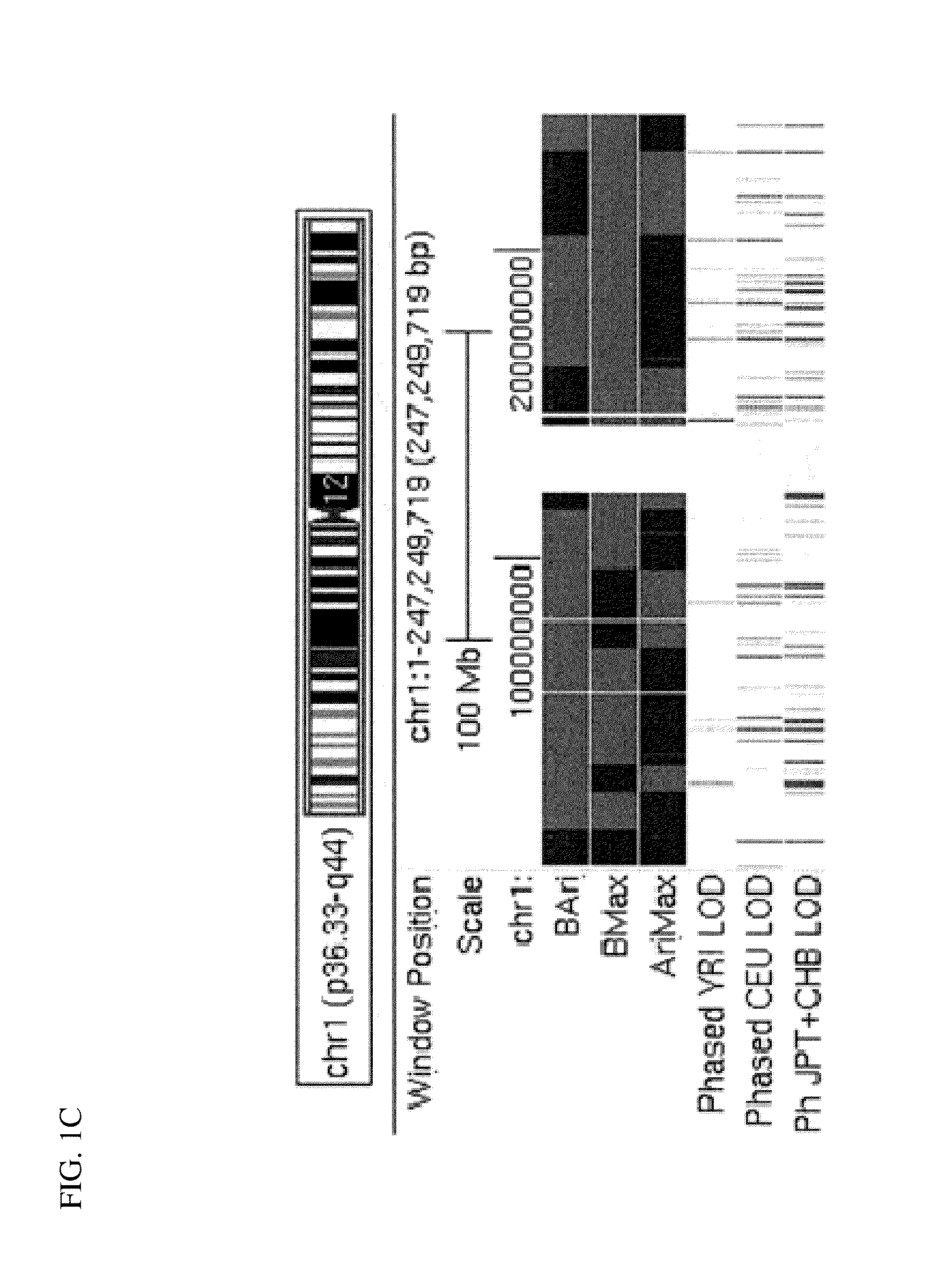 Method and system for generating a virtual progeny genome