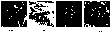 A High Performance Digital Watermarking Method Based on Hessenberg Decomposition