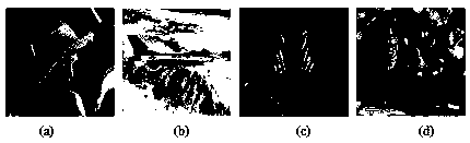 A High Performance Digital Watermarking Method Based on Hessenberg Decomposition