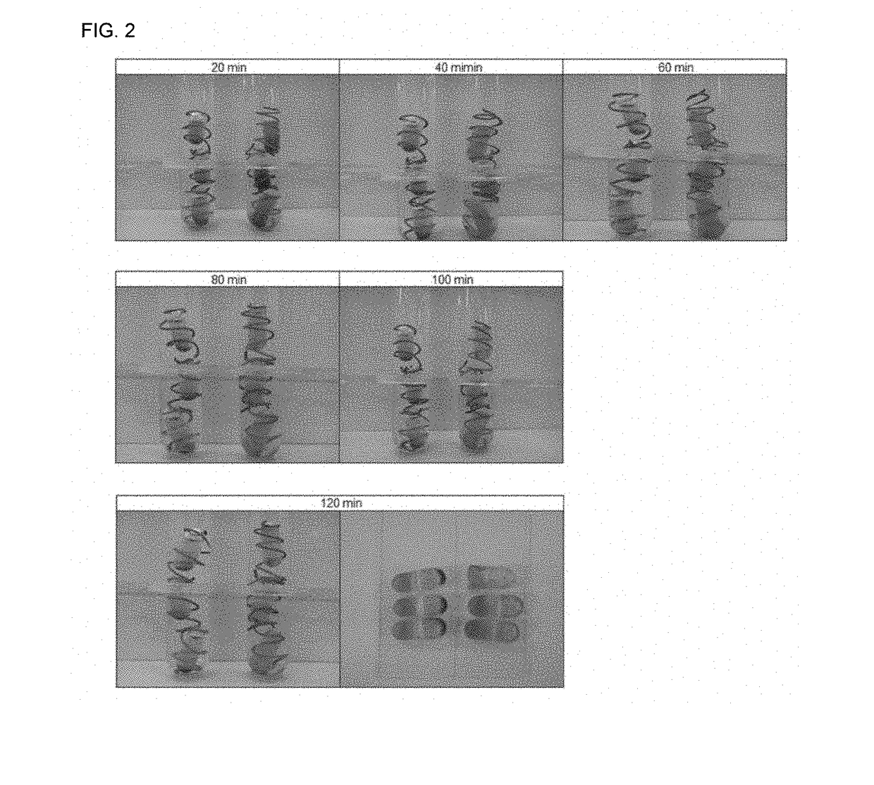 Capsule formulation