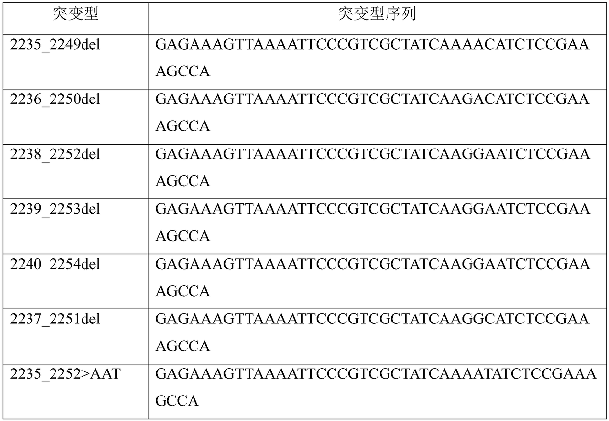 Kit for detecting 22 mutations of EGFR genes by utilizing digital PCR technology