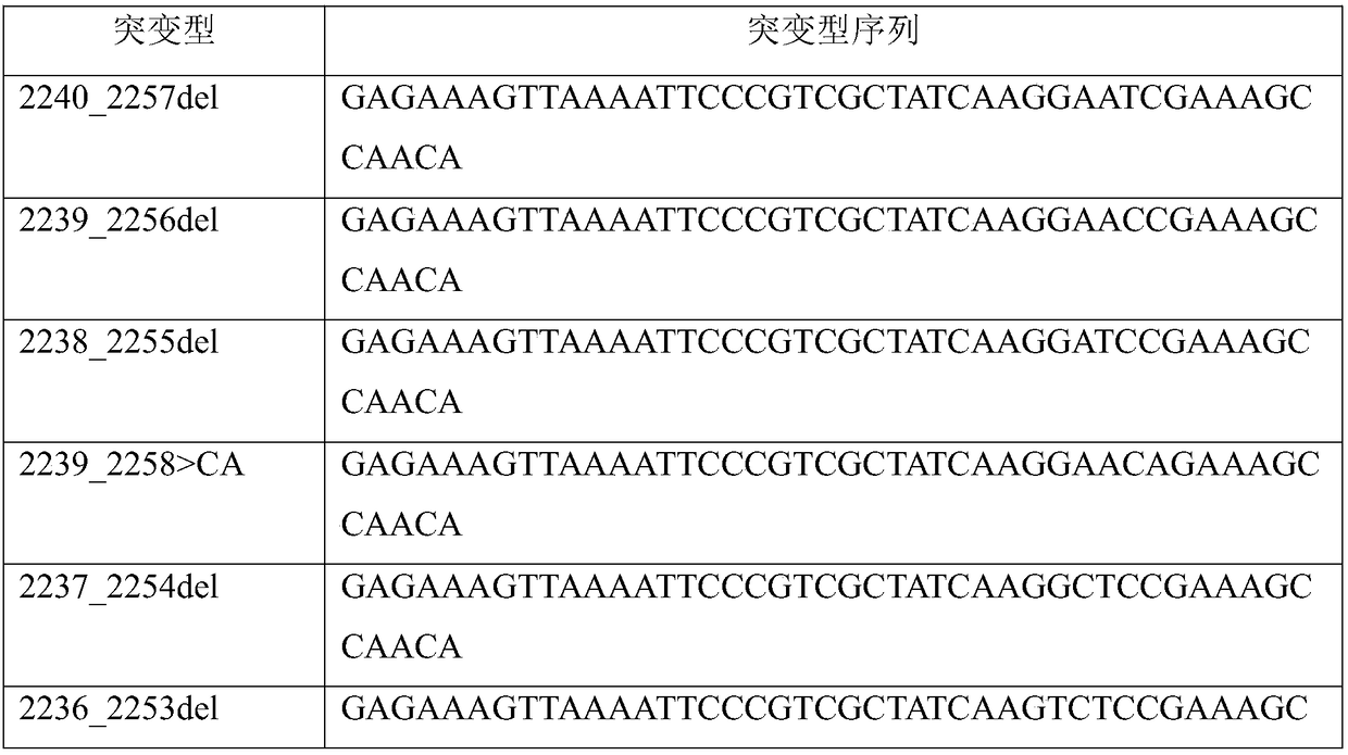 Kit for detecting 22 mutations of EGFR genes by utilizing digital PCR technology