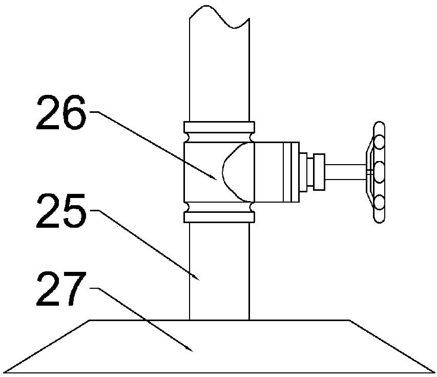 Washing device for large hard food material processing