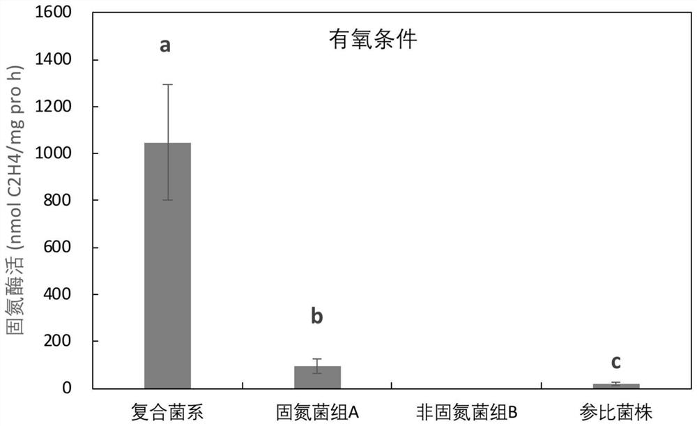 An enhanced high-efficiency nitrogen-fixing compound bacterial line added with non-nitrogen-fixing bacteria and its application