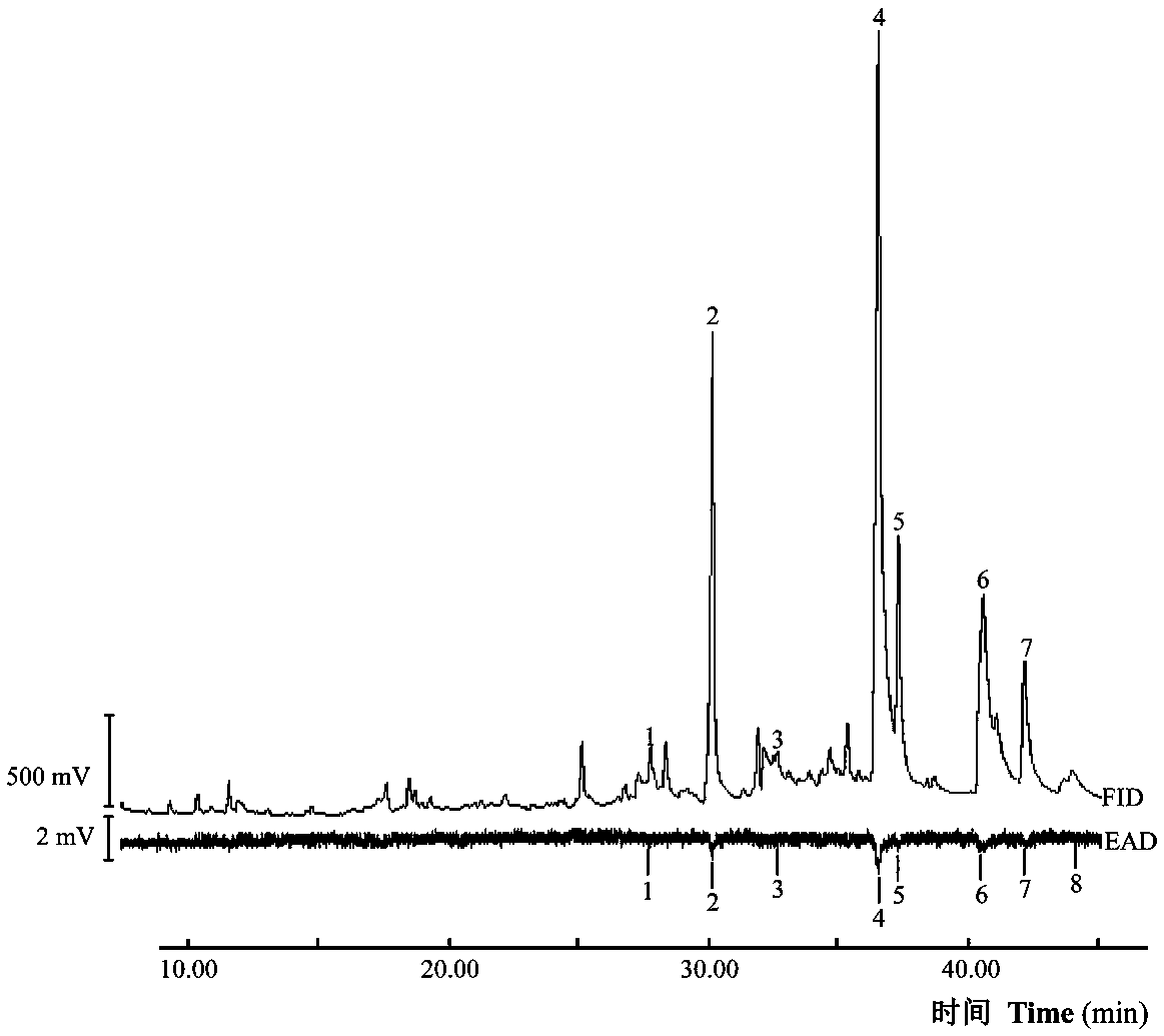 Pest repellent containing methyl palmitate and preparation and use methods thereof