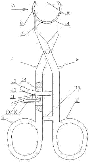 Urethral orifice expander