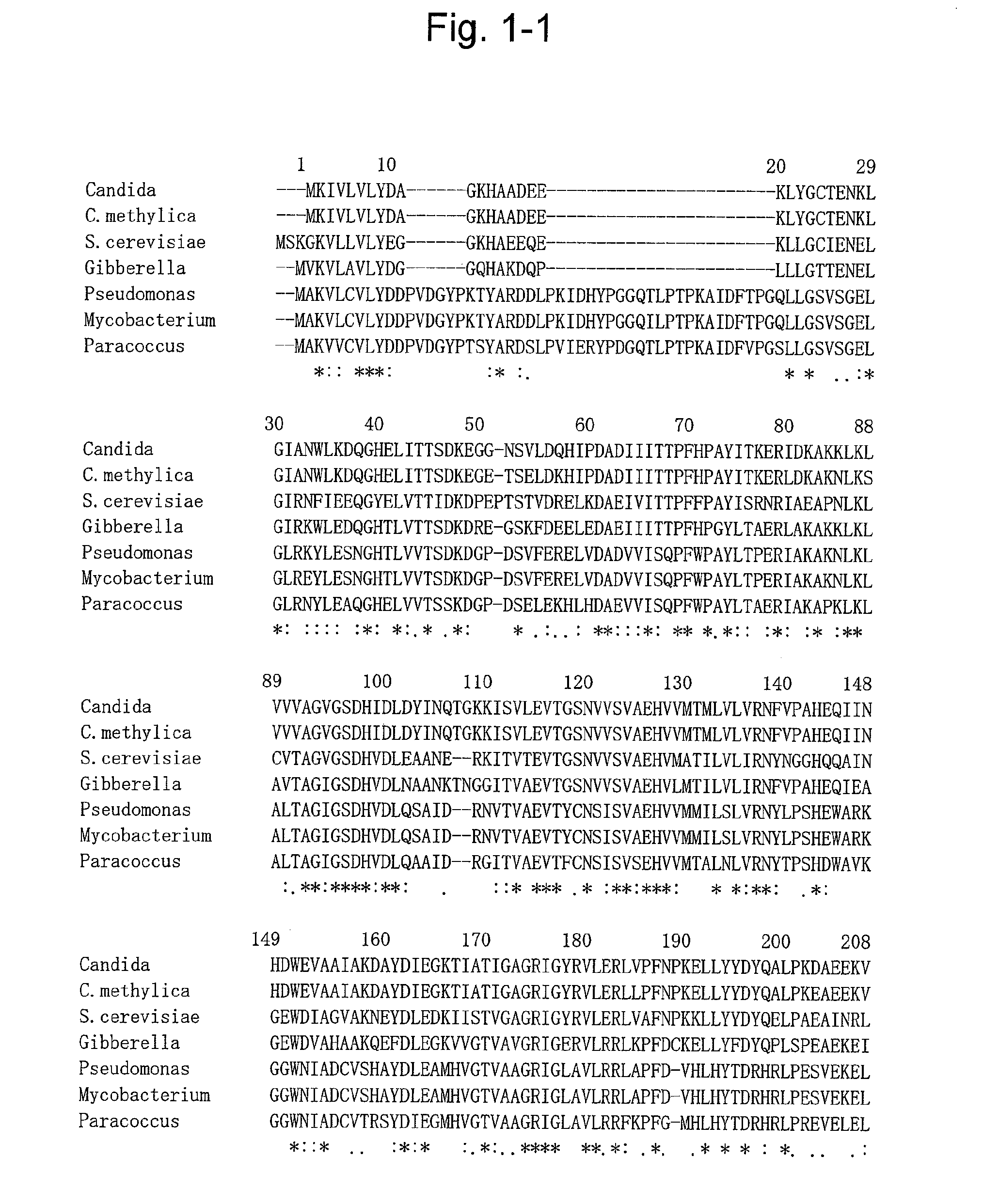 Mutant formate dehydrogenase, gene encoding the same, and method for producing NADH