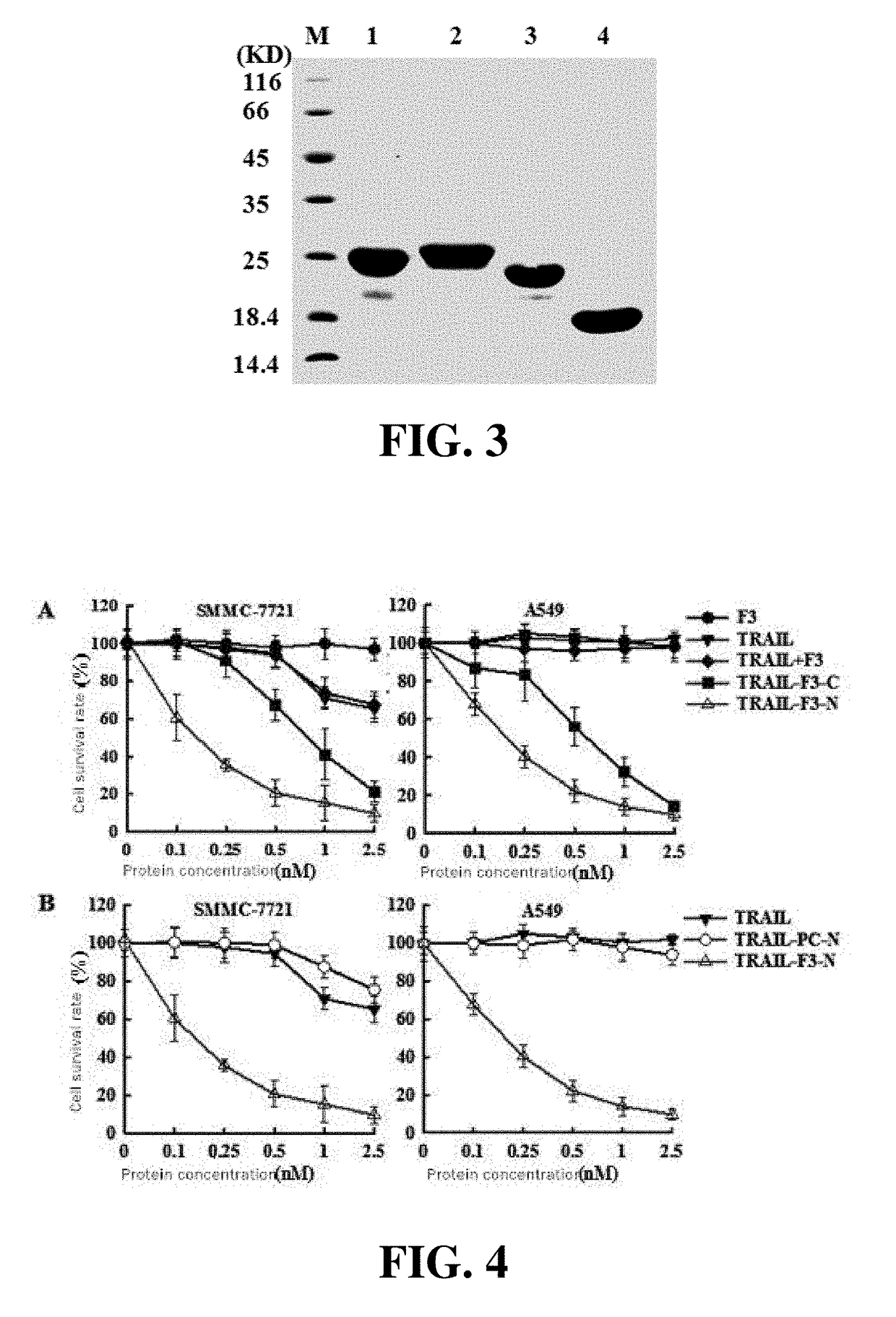 A tumor necrosis factor-related apoptosis-inducing ligand variant, as well as a preparation method and use thereof