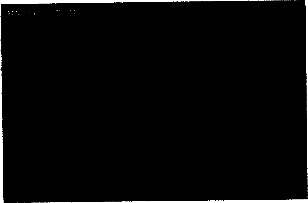 Preparation method of Ti-AL-Ti multi-layer laminated composite material