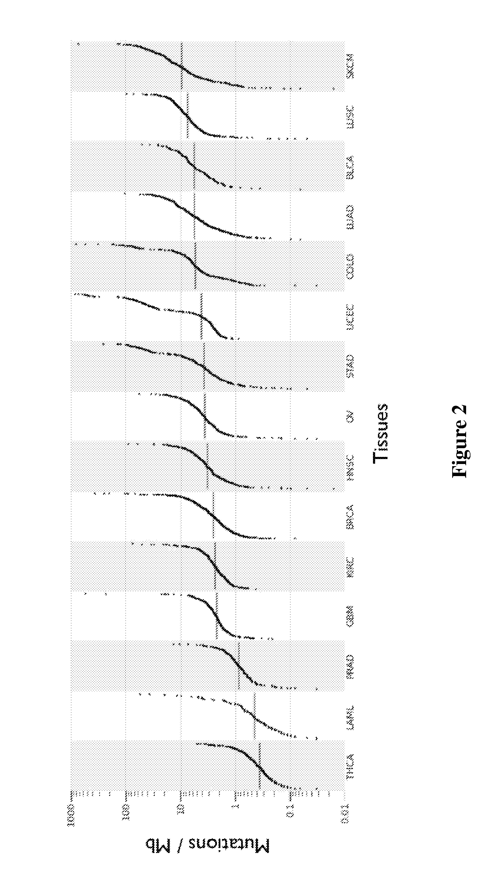 Systems and Methods For RNA Analysis In Functional Confirmation Of Cancer Mutations