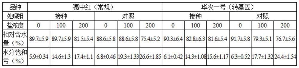 Application of arbuscular mycorrhizal fungi in salt stress resistance of carica papaya