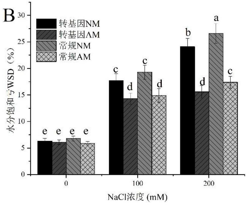 Application of arbuscular mycorrhizal fungi in salt stress resistance of carica papaya