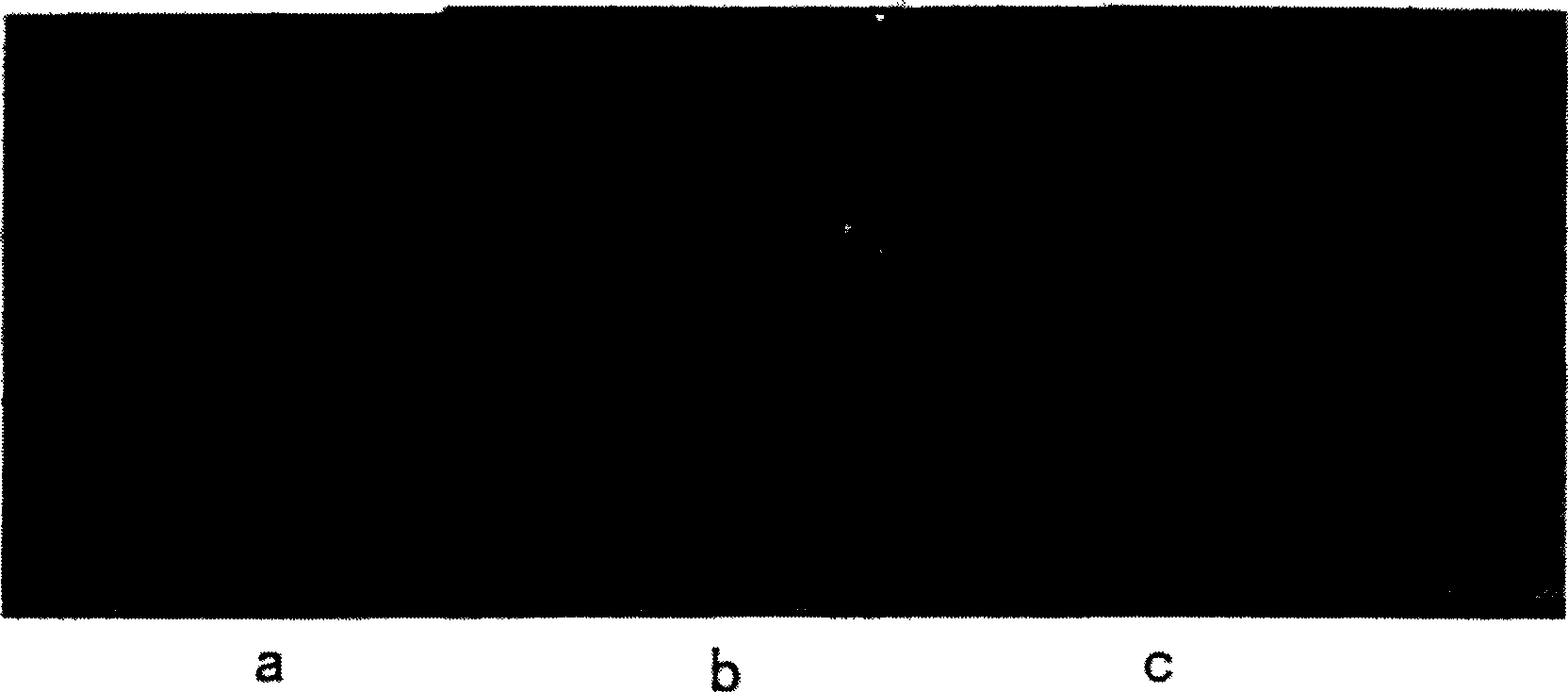 Method of extracting raster line in structural optical through colour coding and comparative method