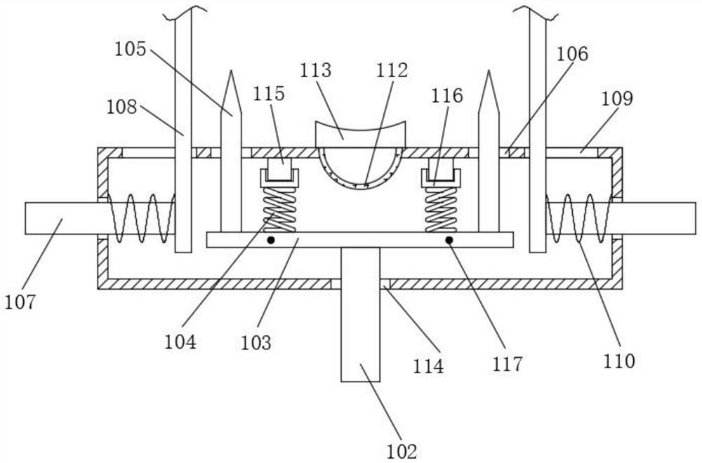 An improved mulberry bud grafting process based on sheet bud grafting