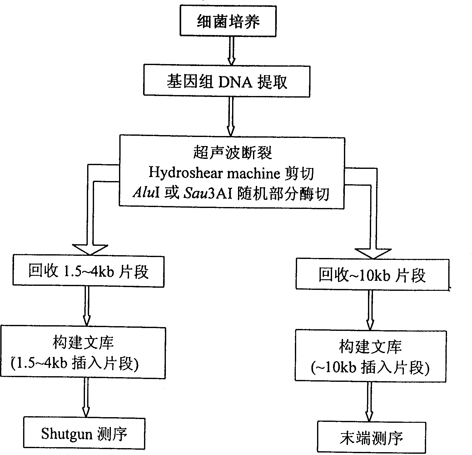 High-temp. resistant mismatch repair enzyme gene, polypeptide coded thereby and preparing method thereof