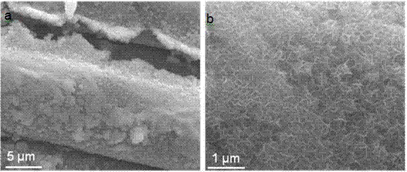 Preparation method for tungsten disulfide sheet-shaped nanomaterial