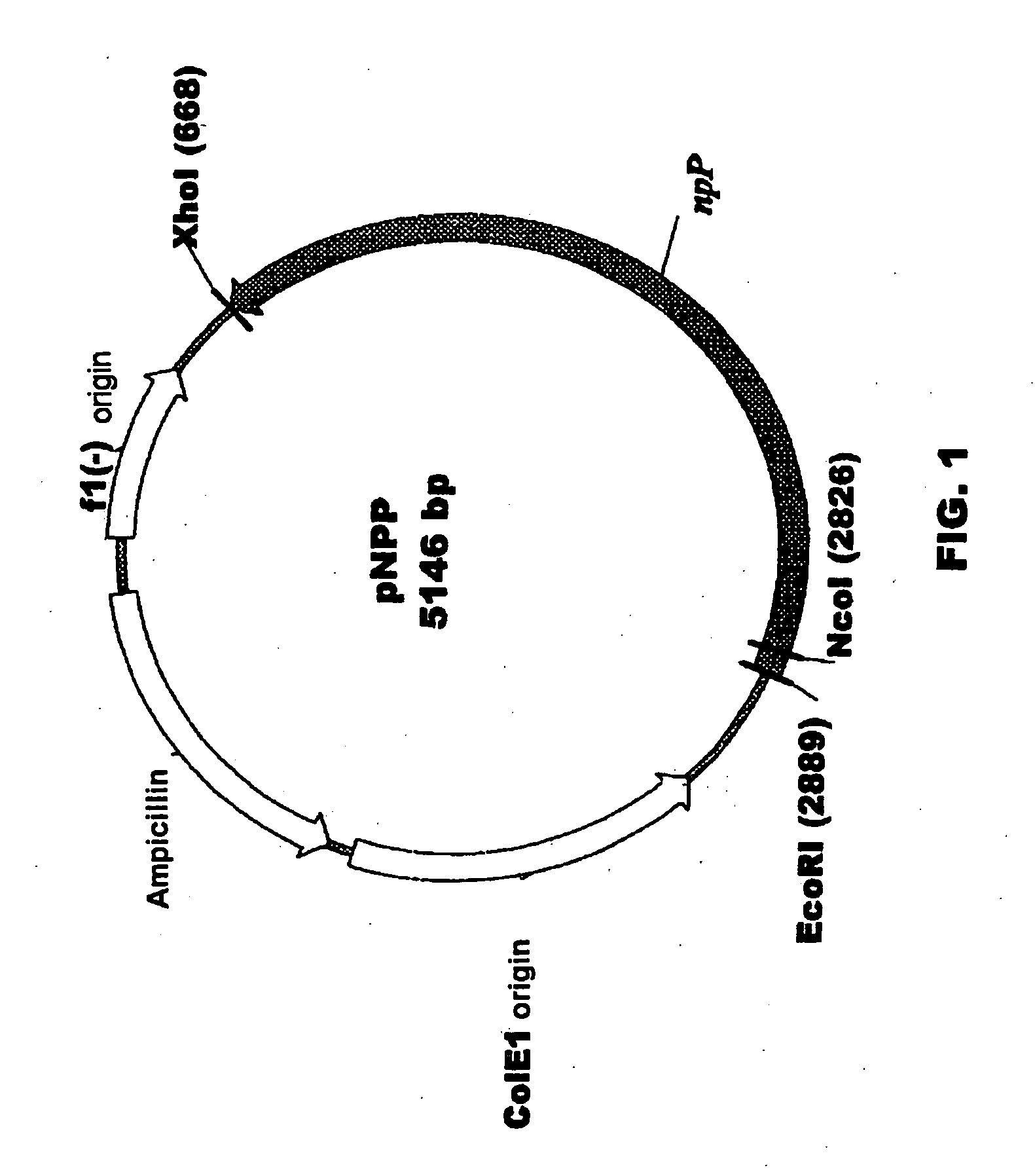 Plant nucleotide-sugar pyrophosphatase/phosphodiesterase (nppase), method of obtaining same and use of same in the production of assay devices and in the production of transgenic plants