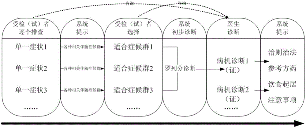 Physical examination and health consultation system and method in traditional Chinese medicine