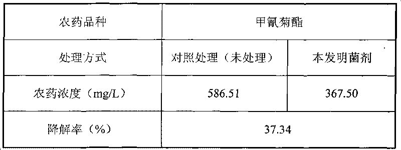 Rhodobacter strain and application thereof