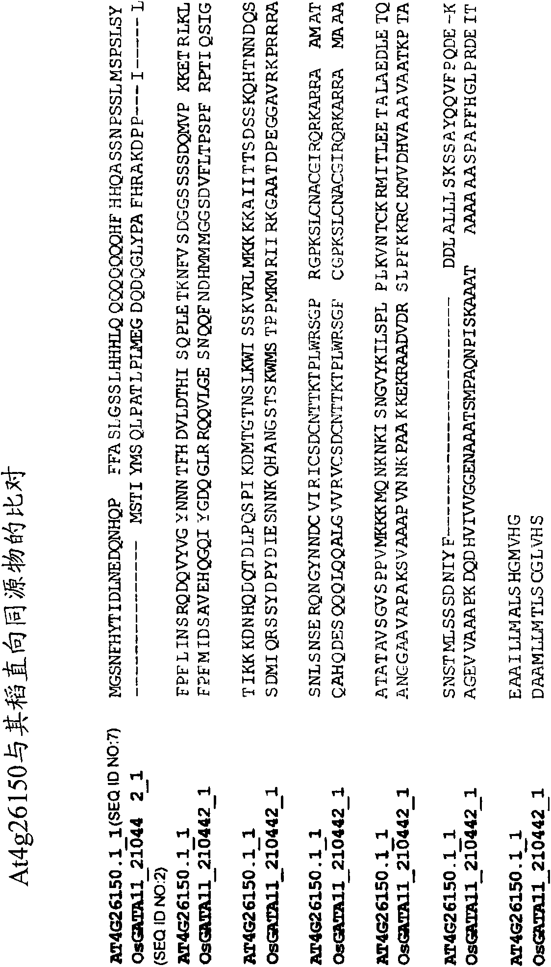Carbon and nitrogen-regulating gene and protein and modulation thereof